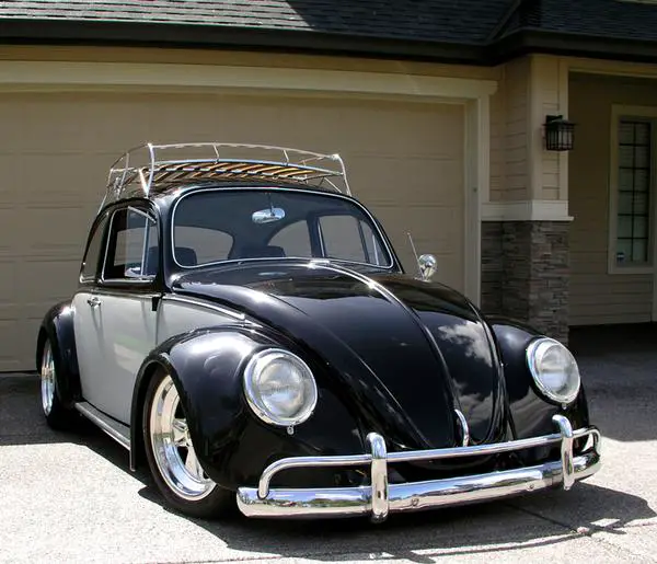 beetle11-a.jpg