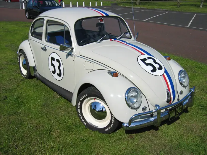 beetle13.jpg