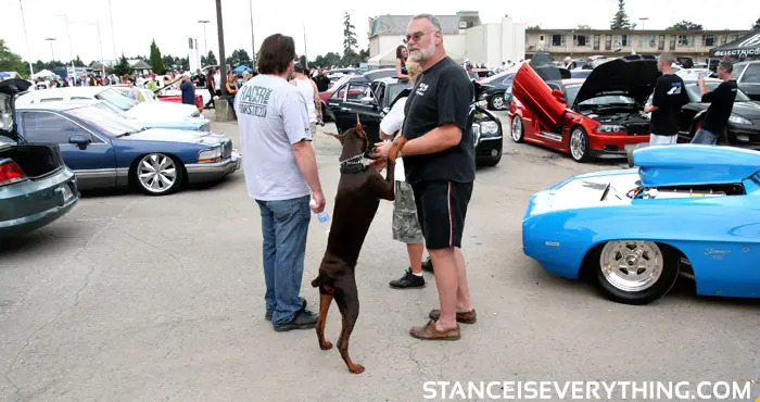 dirtydancing This dog was rad