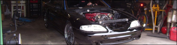 vipestang vipestang