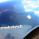 fenderrust
