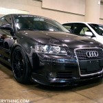 murderedaudiwag