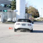 autox8
