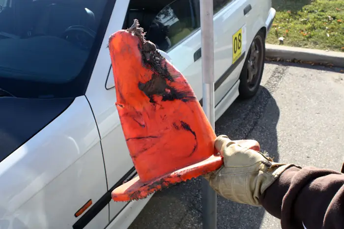 pylon Road kill