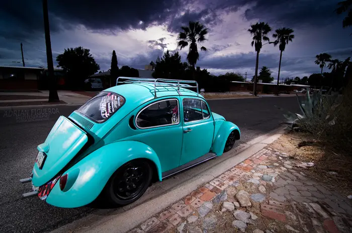 willbug