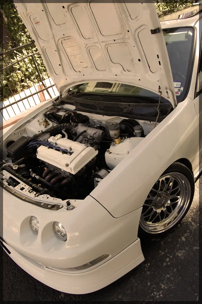 dc19