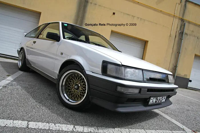 levin1