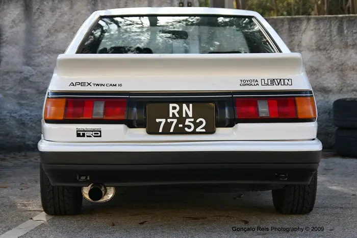 levin3