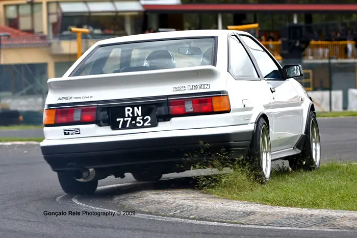 levin4