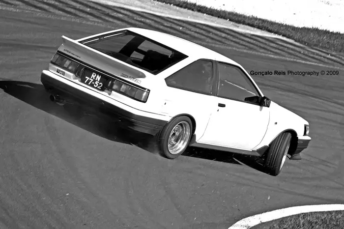 levin5