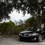 accord11