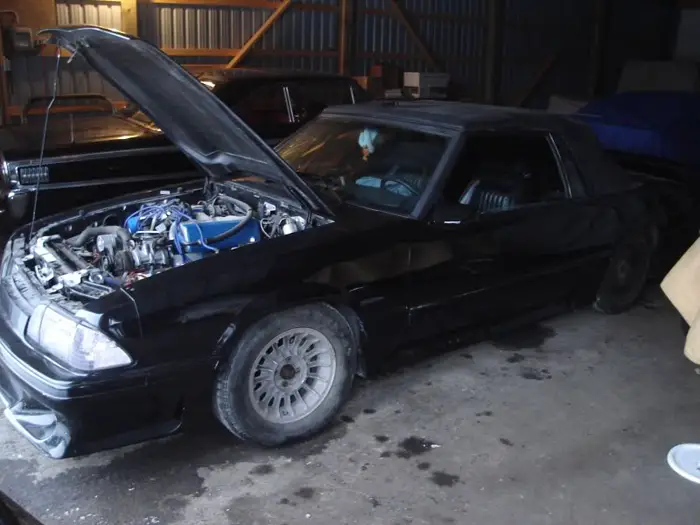 infamousstang1