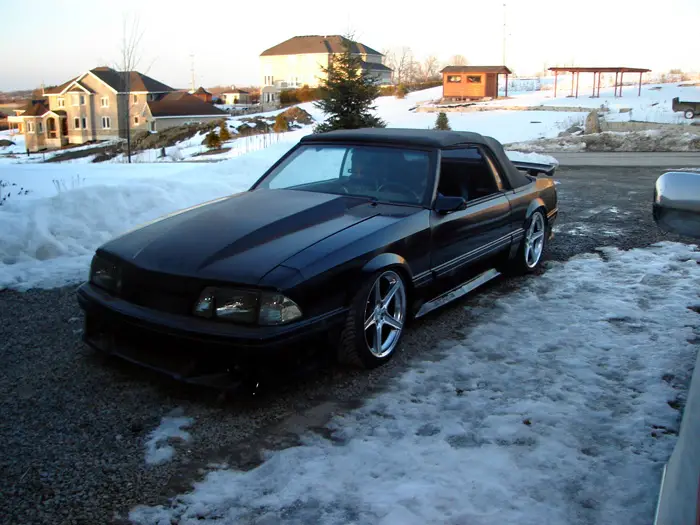 infamousstang3