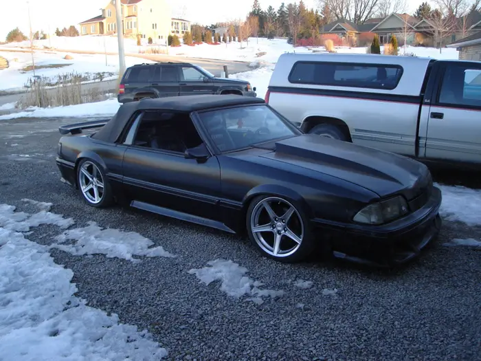 infamousstang4