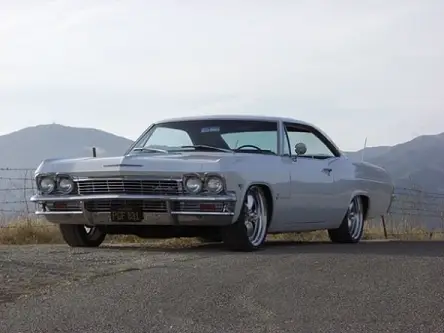 adam_impala
