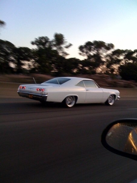 adam_impala4