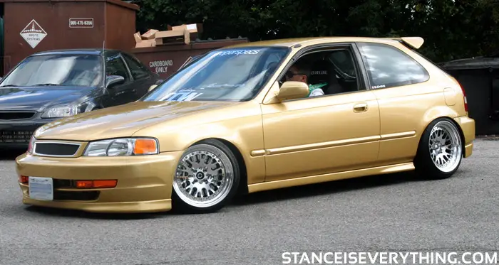 gold_hatch