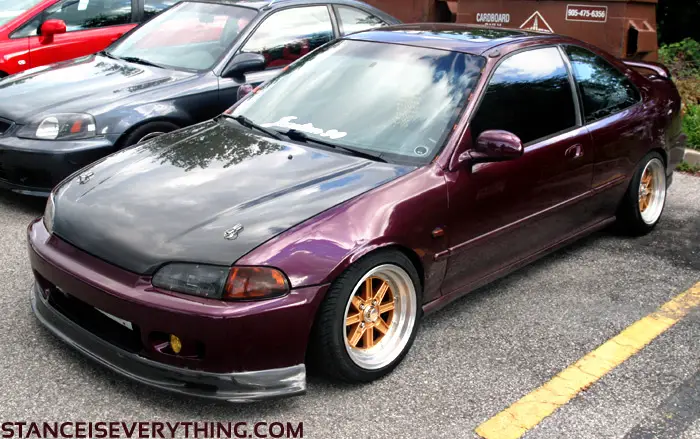 purp2