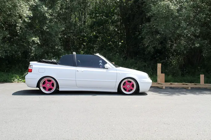 bitch_basket_2