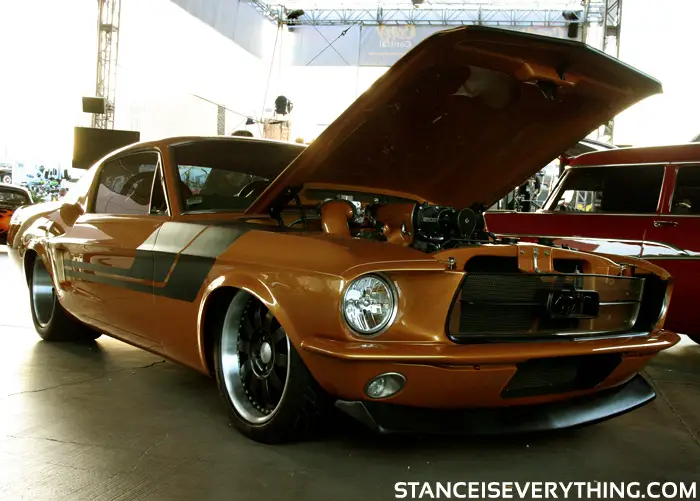 mustang_2
