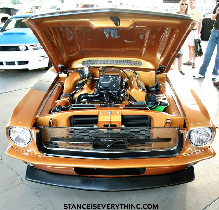 mustang_3