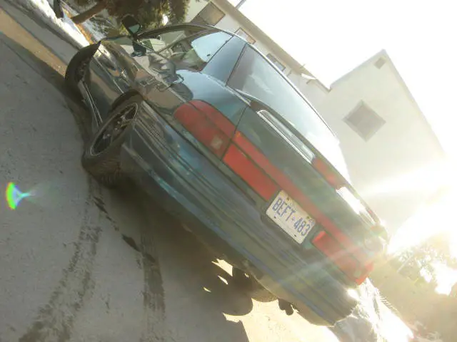 david_escort2