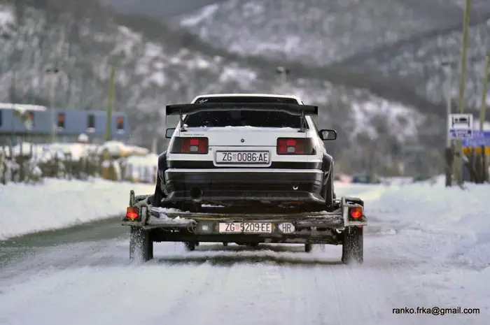 winter_forrester_levin_10