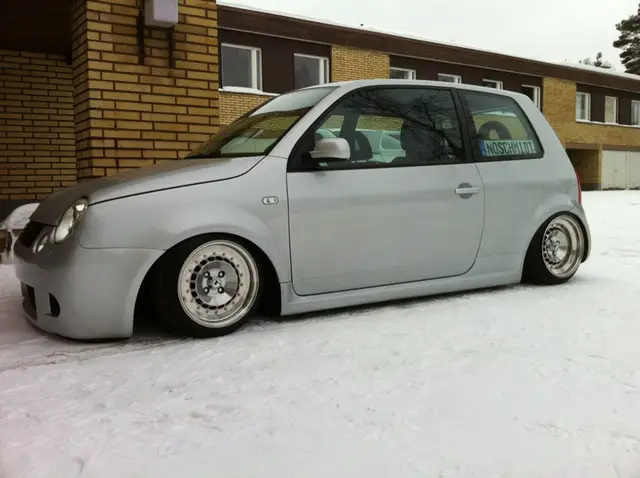 winter_lupo_1
