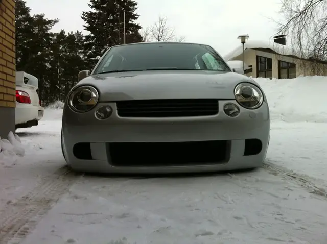 winter_lupo_2