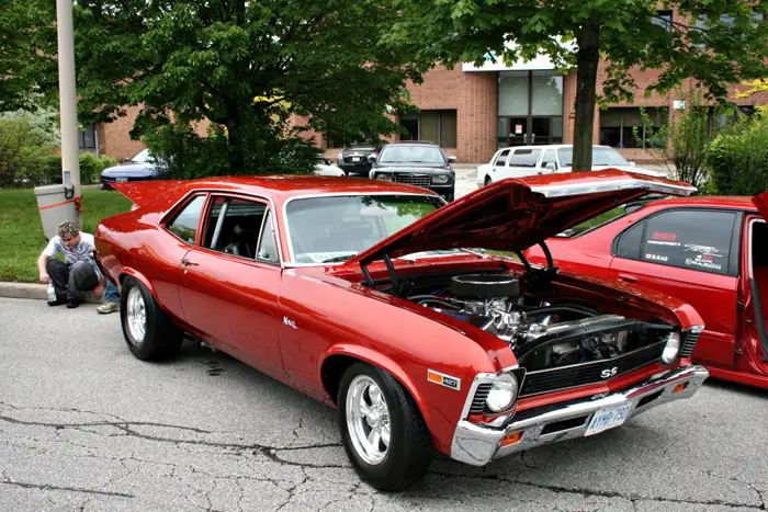 nova