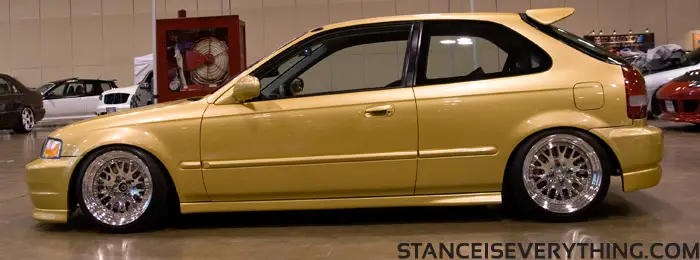 stretch_and_poke_gold
