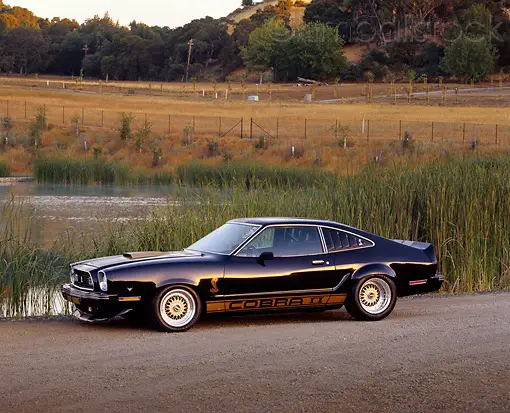 widebody_muscle_15