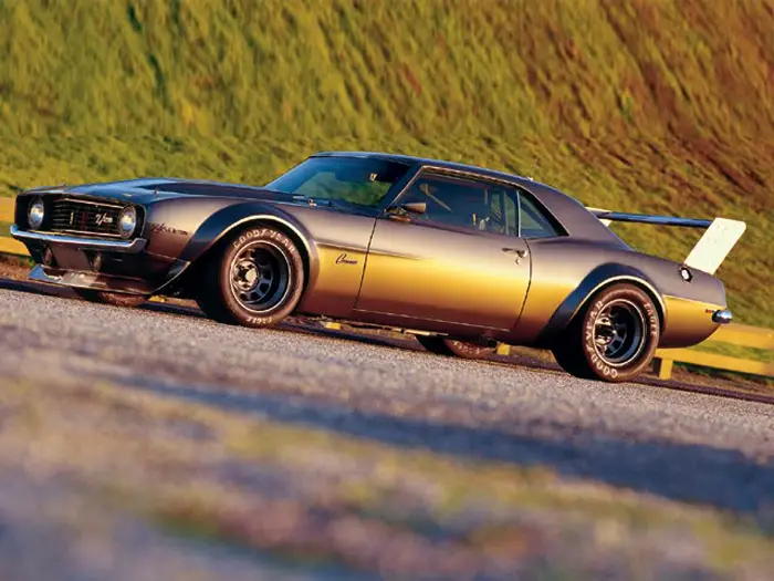 widebody_muscle_7