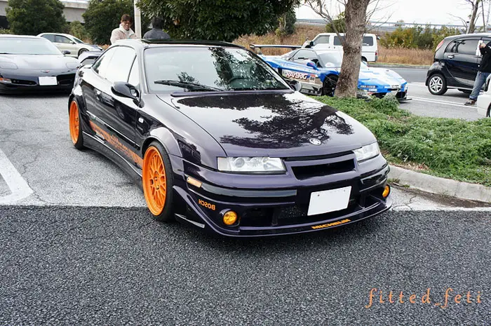 fitted_feti_import_14