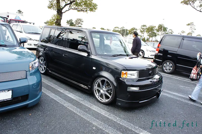 fitted_feti_import_16