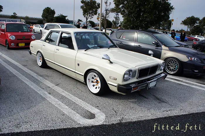 fitted_feti_import_4