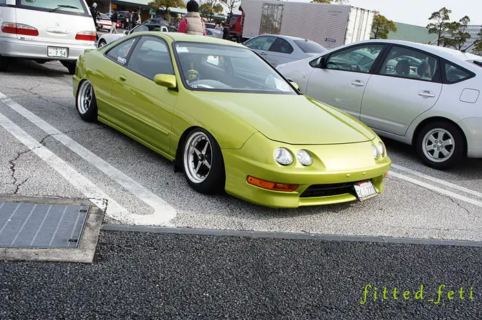 fitted_feti_import_5