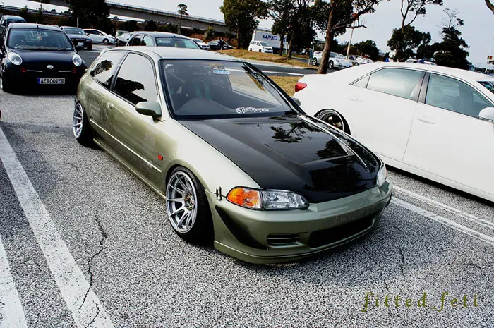 fitted_feti_import_6