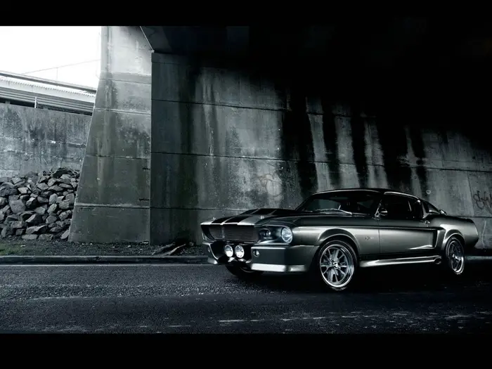 shelby4