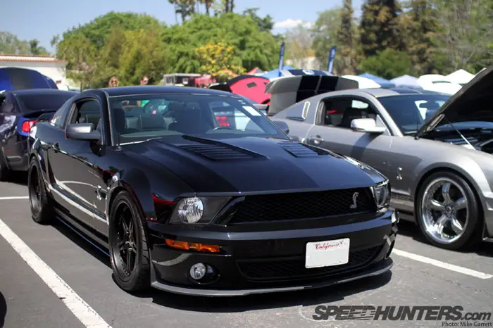 shelby7