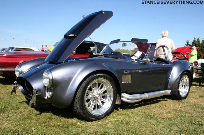 shelby8
