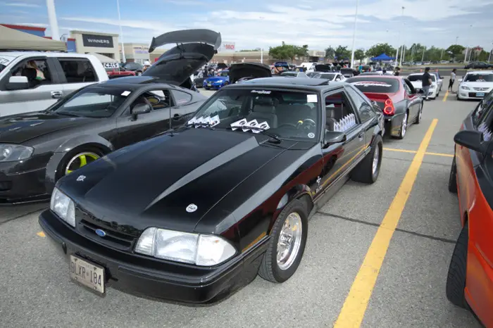 mustang