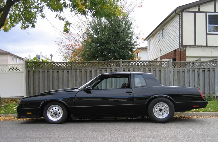 muscle1