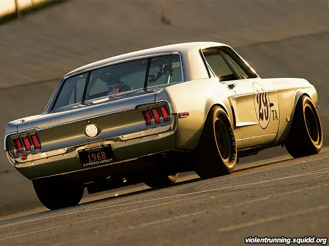 muscle17