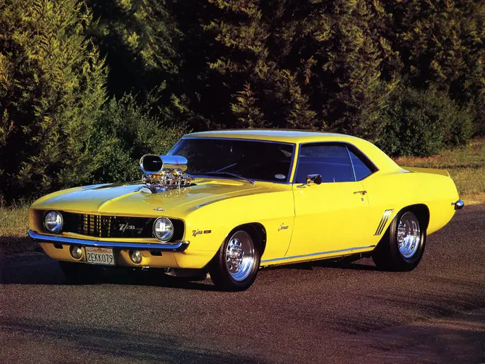 muscle3