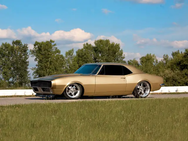 muscle9
