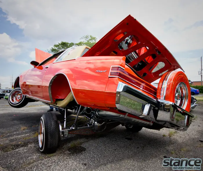orange_regal_2