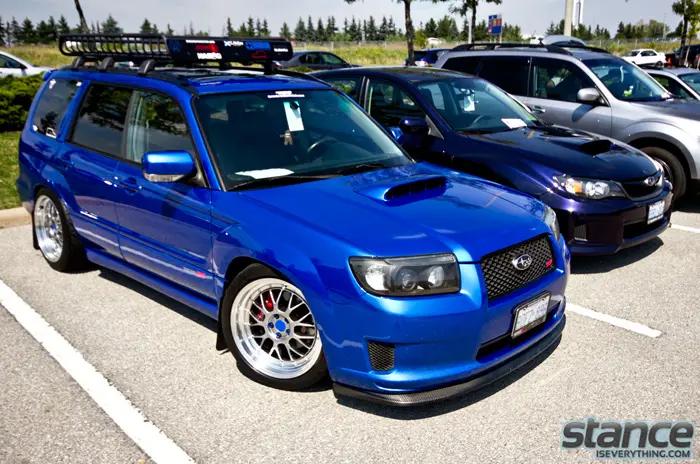 forrester_sti