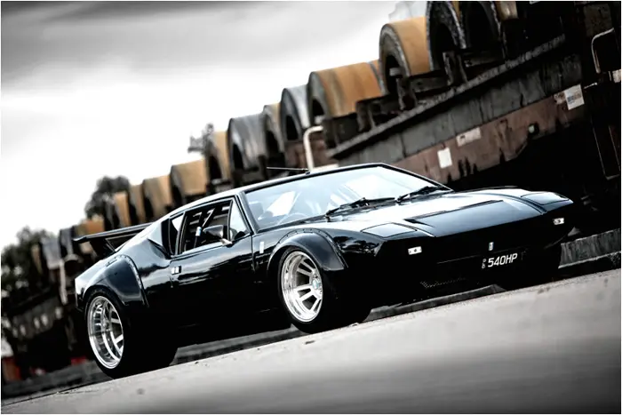 pantera_12