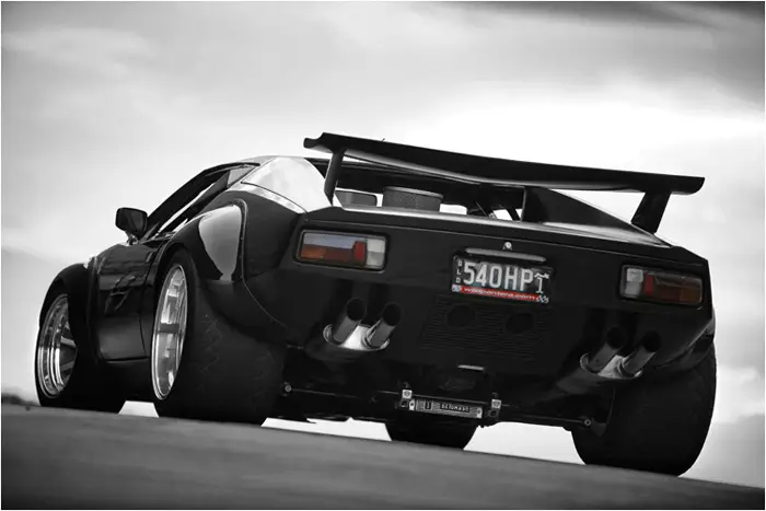 pantera_13